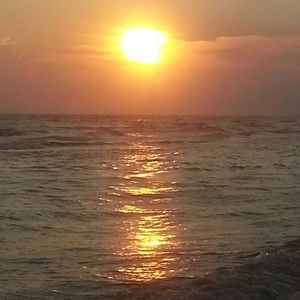 Meet your Posher, Teresa